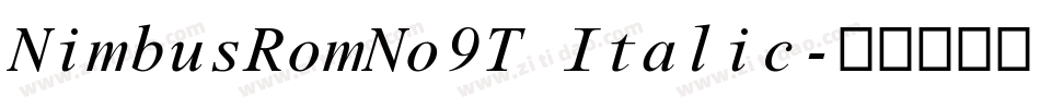 NimbusRomNo9T Italic字体转换